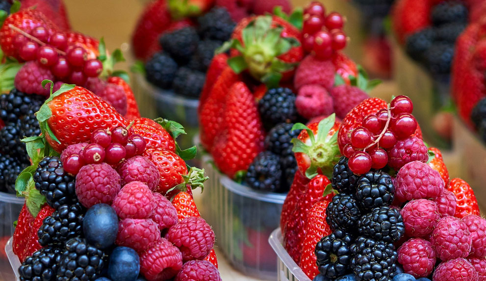 Free dinner & berry picking Free dinner & berry picking